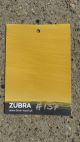 Golden Yolk #137 – Limewash Paint | ZUBRA COLORS