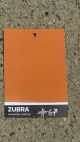 Dried Paprika #67 – Limewash Paint | ZUBRA COLORS