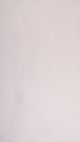 Soft White #159 – Limewash Paint | ZUBRA COLORS