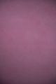 Pink Flamingo #15 – Limewash Paint | ZUBRA COLORS