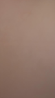 Peach Yogurt #120 – Limewash Paint | ZUBRA COLORS