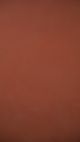 Sun Clay #126 – Limewash Paint | ZUBRA COLORS