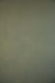 Dried Mimosa #35 – Limewash Paint | ZUBRA COLORS