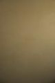 Egg Cream #43 – Limewash Paint | ZUBRA COLORS
