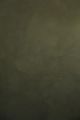 Olive Dust #49 – Limewash Paint | ZUBRA COLORS