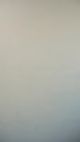 Soft Shell #169 – Limewash Paint | ZUBRA COLORS