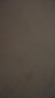 Almond Mocha #196 - Limewash paint | ZUBRA COLORS