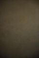Dry Herb #198 – Limewash Paint | ZUBRA COLORS