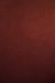 Raspberry #204 – Limewash Paint | ZUBRA COLORS